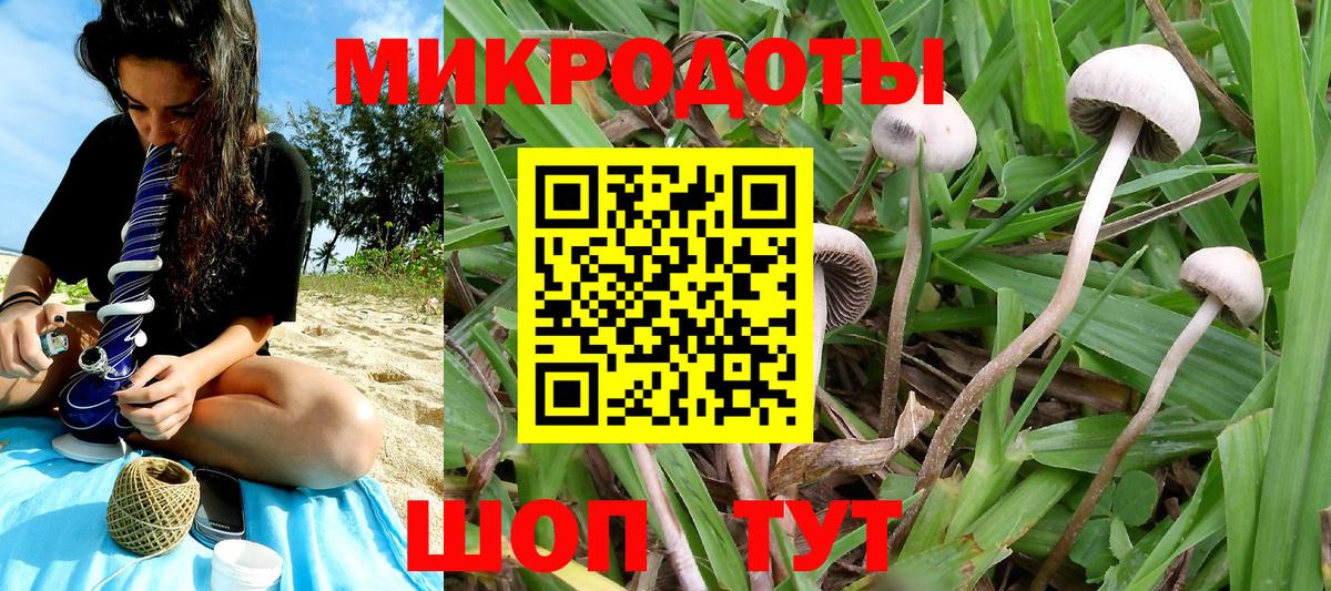 Галлюциногенные грибы мухоморы  цена наркотик  Псилоцибиновые грибы прущие грибы  Тимашёвск  Вход с VPN 